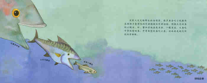 自然科学启蒙（第二辑）——认识鱼类绘本故事第14页