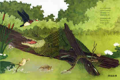 动物成长故事绘本：鳄鱼觅食记绘本故事第13页