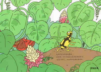 昆虫智趣园5-昆虫捉迷藏绘本故事第10页