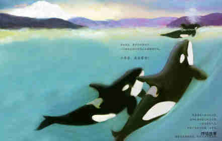 动物成长故事绘本：虎鲸家族传奇绘本故事第2页