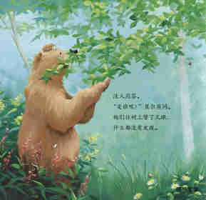 暖房子经典绘本系列·第七辑·贝尔熊:贝尔熊的新朋友绘本故事第8页