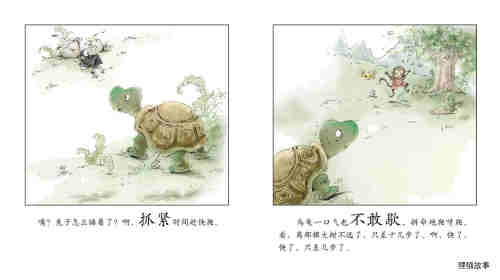 龟兔赛跑绘本故事第7页