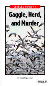 Gaggle,Herd,and Murder