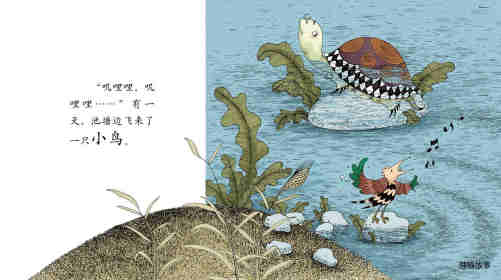早期阅读系列——老乌龟和小鸟绘本故事第4页