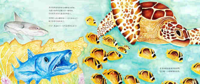 动物成长故事绘本：海龟奇奇成长记绘本故事第8页