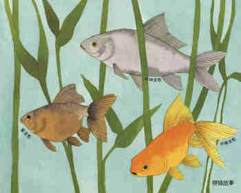 自然科学启蒙（第二辑）——认识鱼类绘本故事第12页