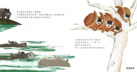 小动物怎样睡大觉绘本故事第11页