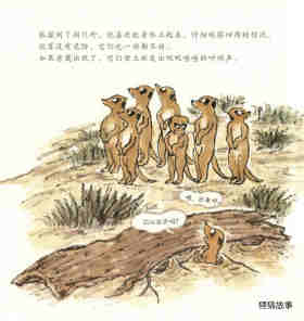 动物也会交朋友绘本故事第15页