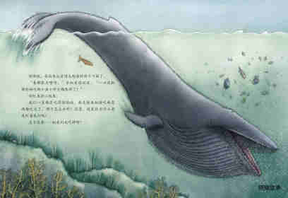 彩虹鱼和大鲸鱼绘本故事第6页