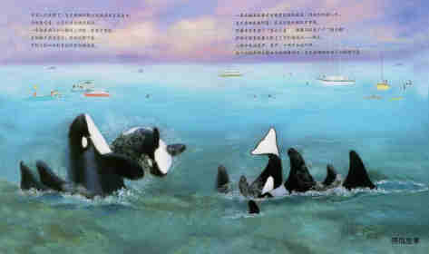 动物成长故事绘本：虎鲸家族传奇绘本故事第9页