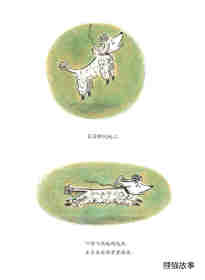 小狗本吉系列--本吉和菲菲绘本故事第13页