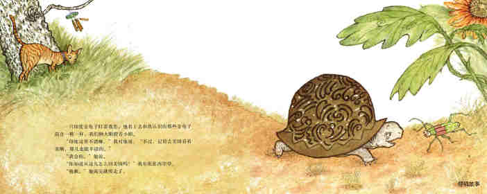 爱玛的乌龟绘本故事第10页