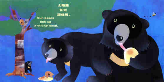 科学童谣双语绘本：熊！熊！熊！绘本故事第4页