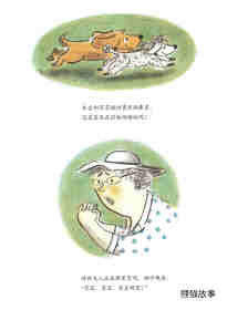 小狗本吉系列--本吉和菲菲绘本故事第19页