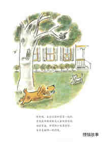 小狗本吉系列--本吉和菲菲绘本故事第3页