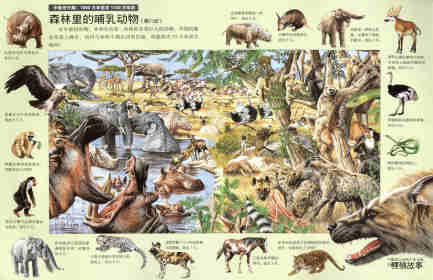 搜索5亿年前的生命绘本故事第12页