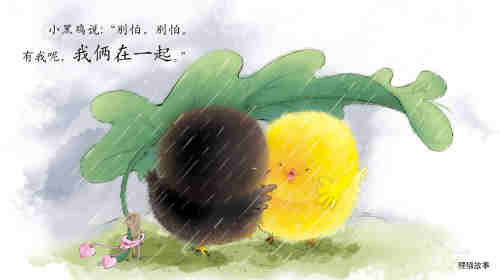 早期阅读系列——小黄鸡和小黑鸡绘本故事第6页