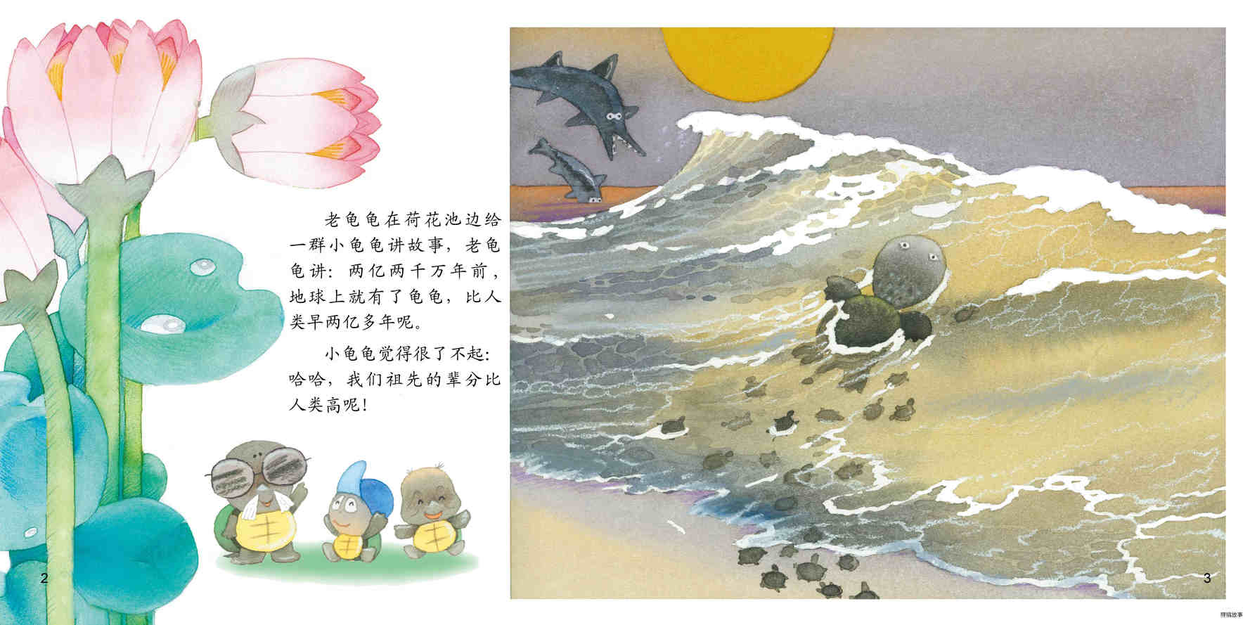 乌龟真神气绘本故事第3页