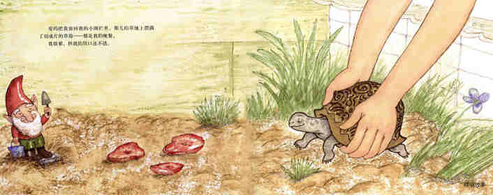爱玛的乌龟绘本故事第14页