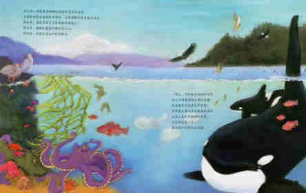 动物成长故事绘本：虎鲸家族传奇绘本故事第5页