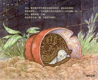 爱玛的乌龟绘本故事第16页