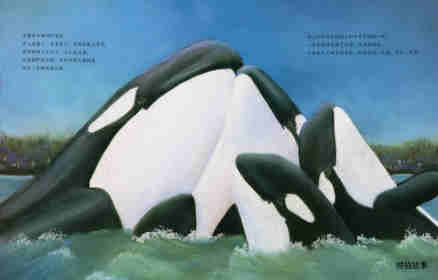动物成长故事绘本：虎鲸家族传奇绘本故事第15页