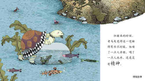 早期阅读系列——老乌龟和小鸟绘本故事第8页