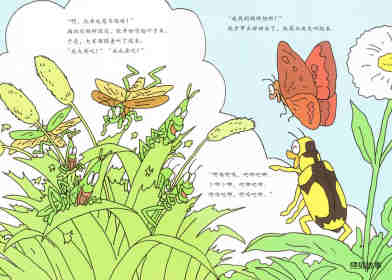 昆虫智趣园5-昆虫捉迷藏绘本故事第13页