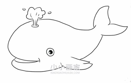 绘本故事简单鲸鱼简笔画画法图片步骤