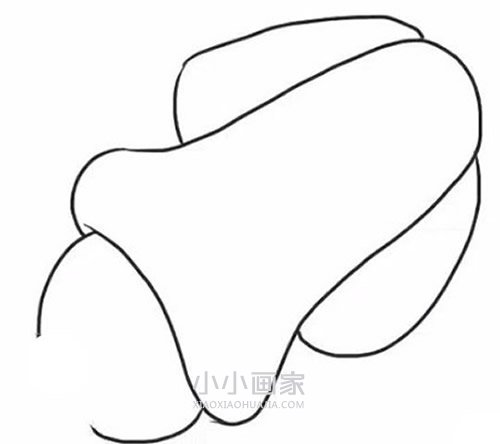 可爱乌贼简笔画画法图片步骤步骤3