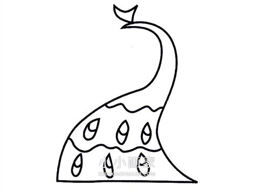 漂亮孔雀简笔画画法图片步骤步骤5