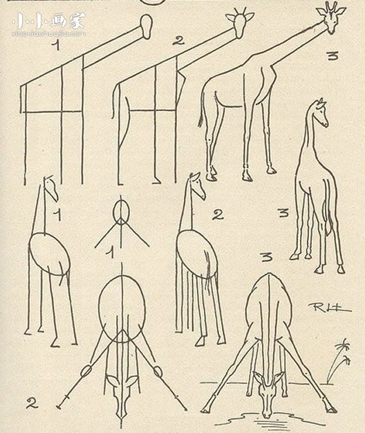 绘本故事各种形态长颈鹿简笔画画法图片步骤