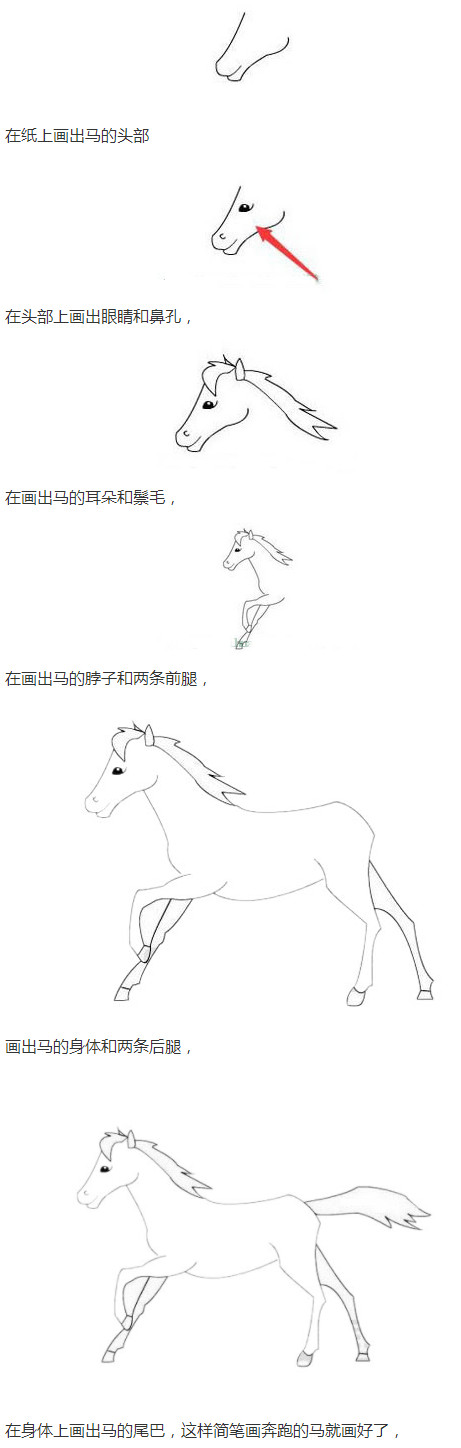 一匹马怎么画带步骤图简单又漂亮