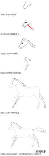 绘本故事一匹马怎么画带步骤图简单又漂亮