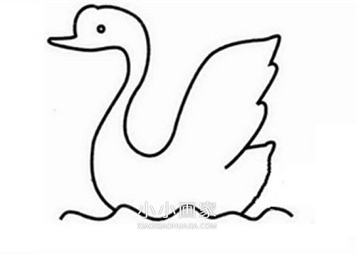 攻击姿势的鹅的简笔画画法图片步骤步骤5