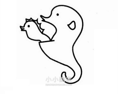 海马爸爸和小海马简笔画画法图片步骤步骤3