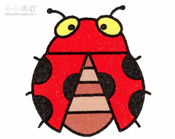 可爱七星瓢虫简单画画法图片步骤步骤1