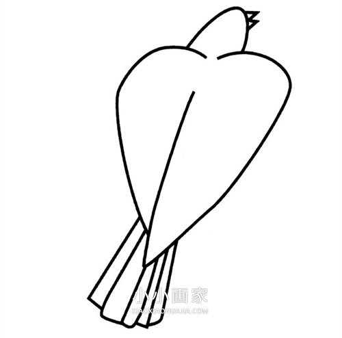 简单鸽子简笔画画法图片步骤步骤5