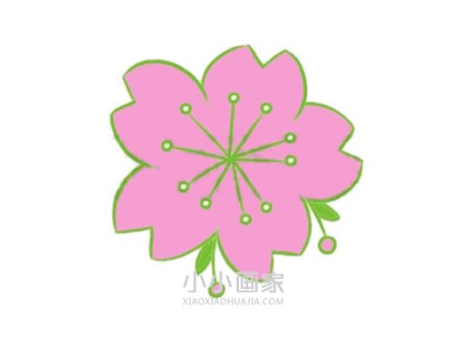 一朵樱花简笔画画法图片步骤