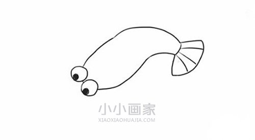 简单龙虾简笔画画法图片步骤步骤4