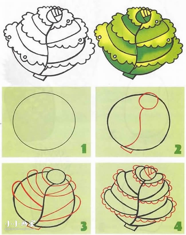 绘本故事彩色包心菜简笔画画法图片步骤