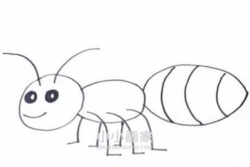 绘本故事简单的蚂蚁简笔画画法图片步骤