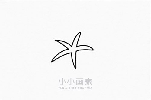 彩色牵牛花简笔画画法图片步骤步骤2