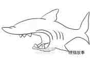 可怕的鲨鱼简笔画画法图片步骤步骤6