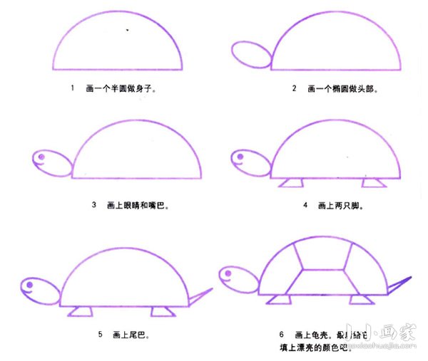 绘本故事乌龟简笔画画法图片步骤