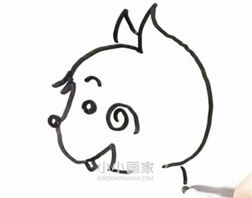 手拿榛子的松鼠简笔画画法图片步骤步骤5