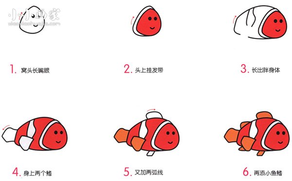 绘本故事简单小丑鱼简笔画画法图片步骤