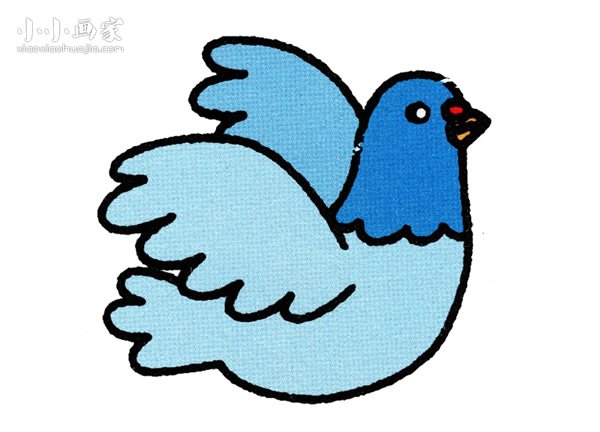 挥动翅膀的鸽子简笔画画法图片步骤步骤1