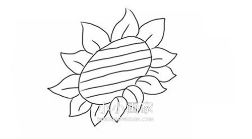 彩色向日葵简笔画画法图片步骤步骤4