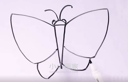大翅膀蝴蝶简笔画画法图片步骤步骤6
